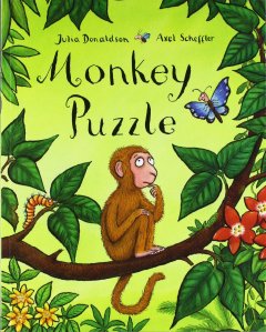 monkey_puzzle